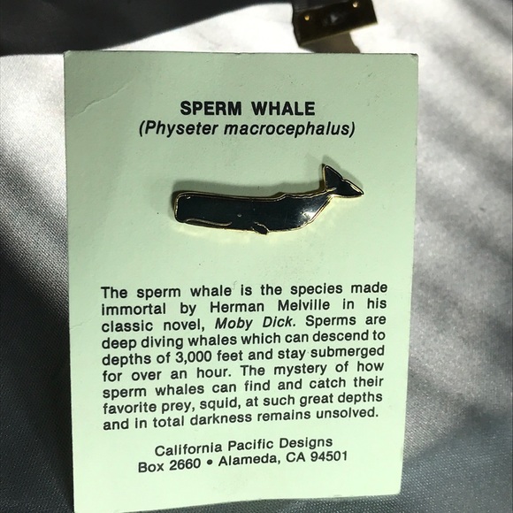 Blue enamel sperm whale Lin from green peace - Picture 1 of 5